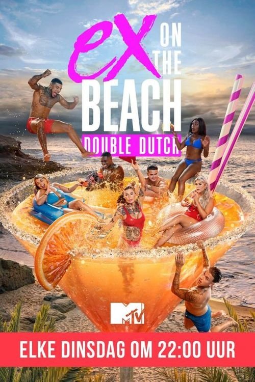 Poster de Temporada 8