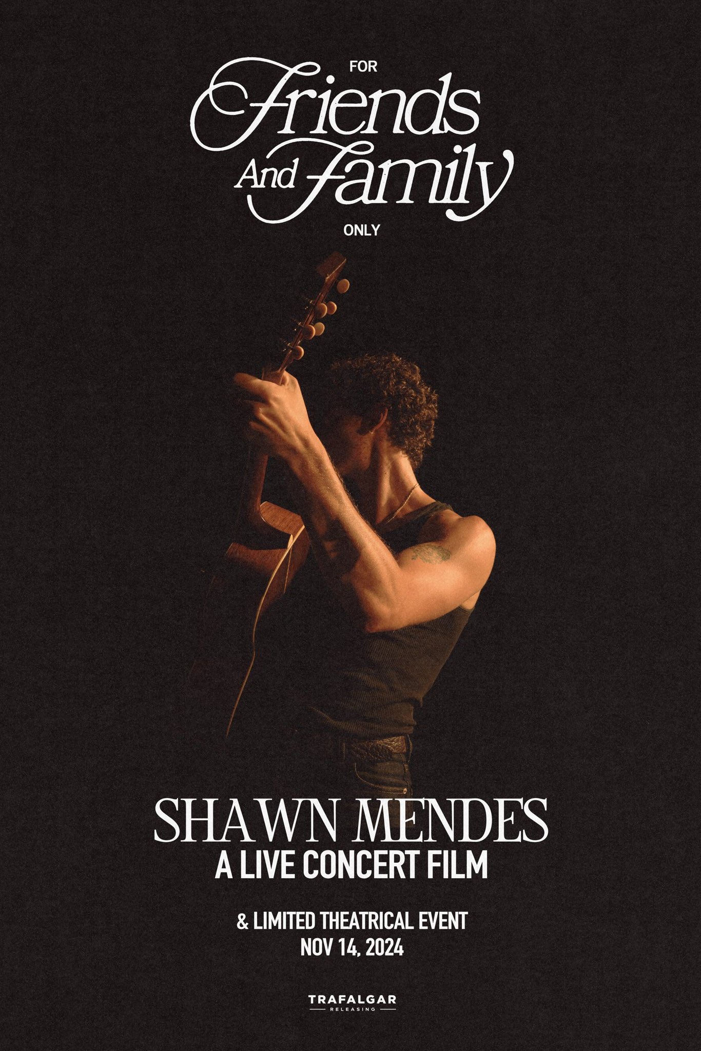 Poster de Shawn Mendes: For Friends and Family Only – A Live Concert Film