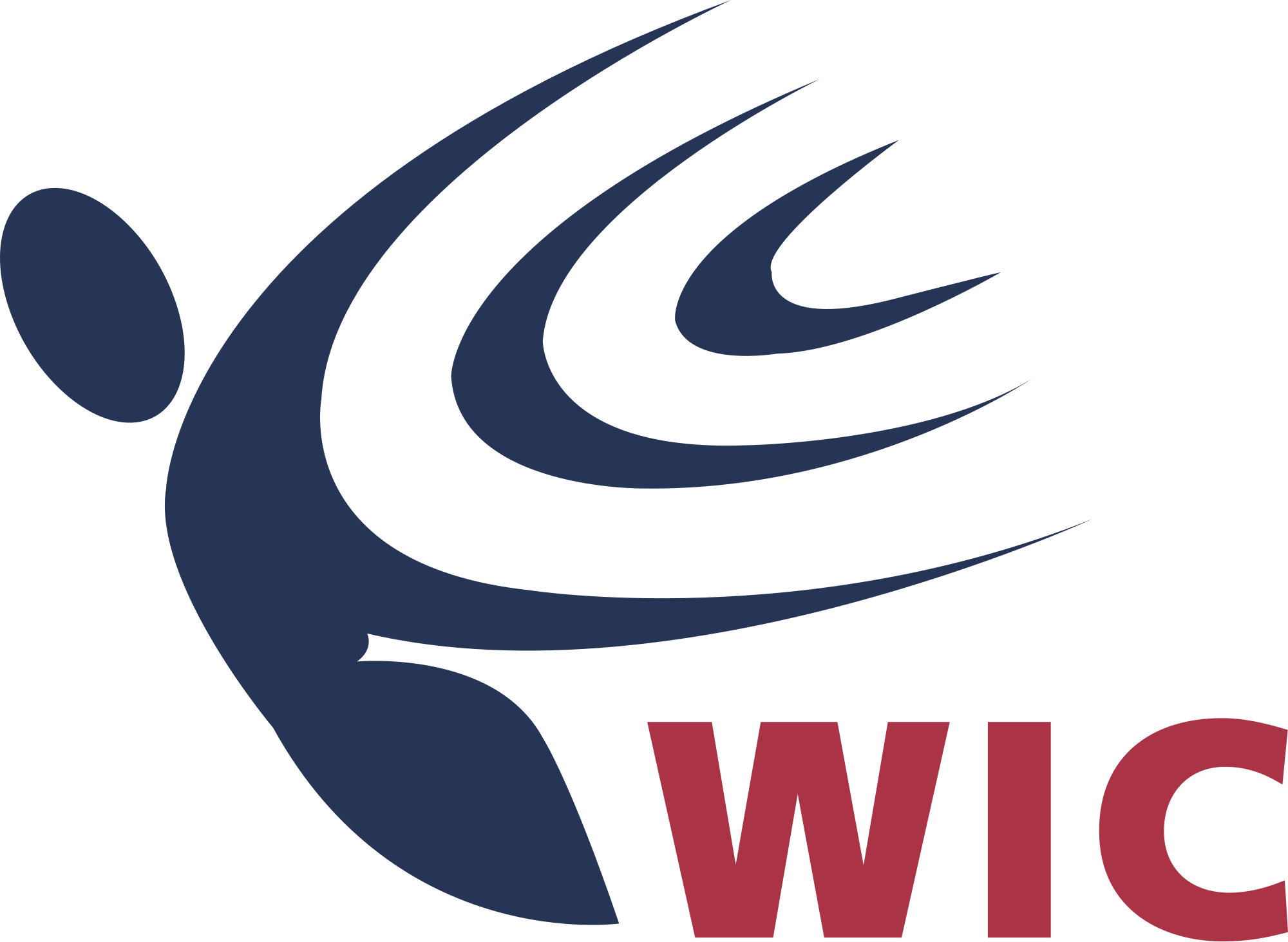 Western International Communications