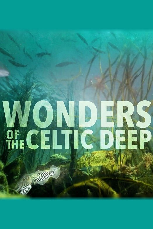 Poster de Wonders of the Celtic Deep