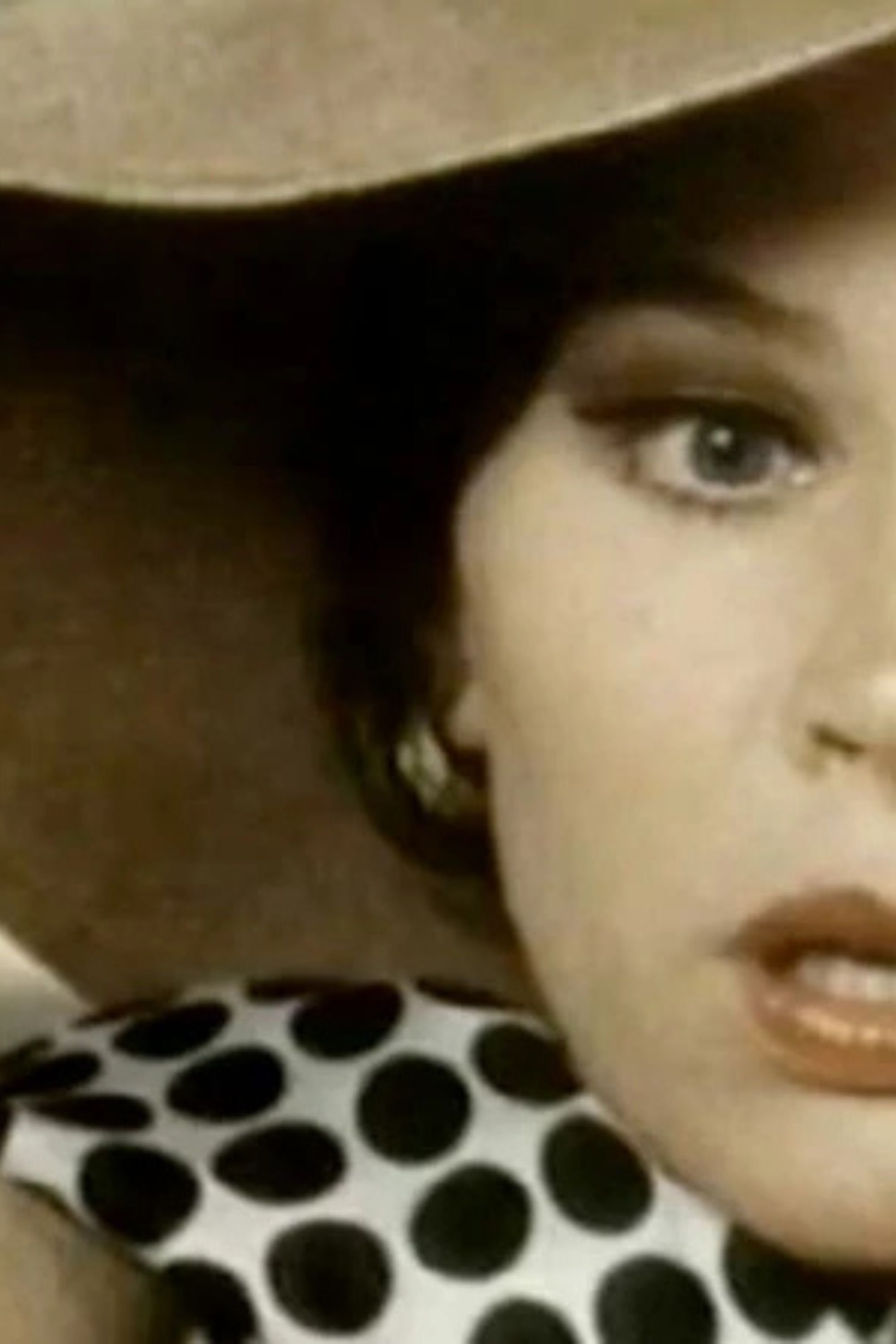 Poster de Hitchcock Didn’t Have a Belly Button: Karen Black Interview by Johan Grimonprez