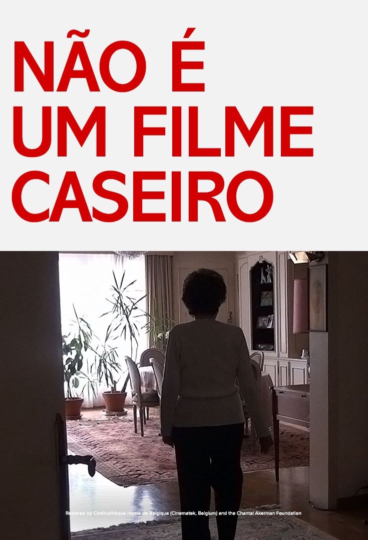 Poster de Não é um Filme Caseiro