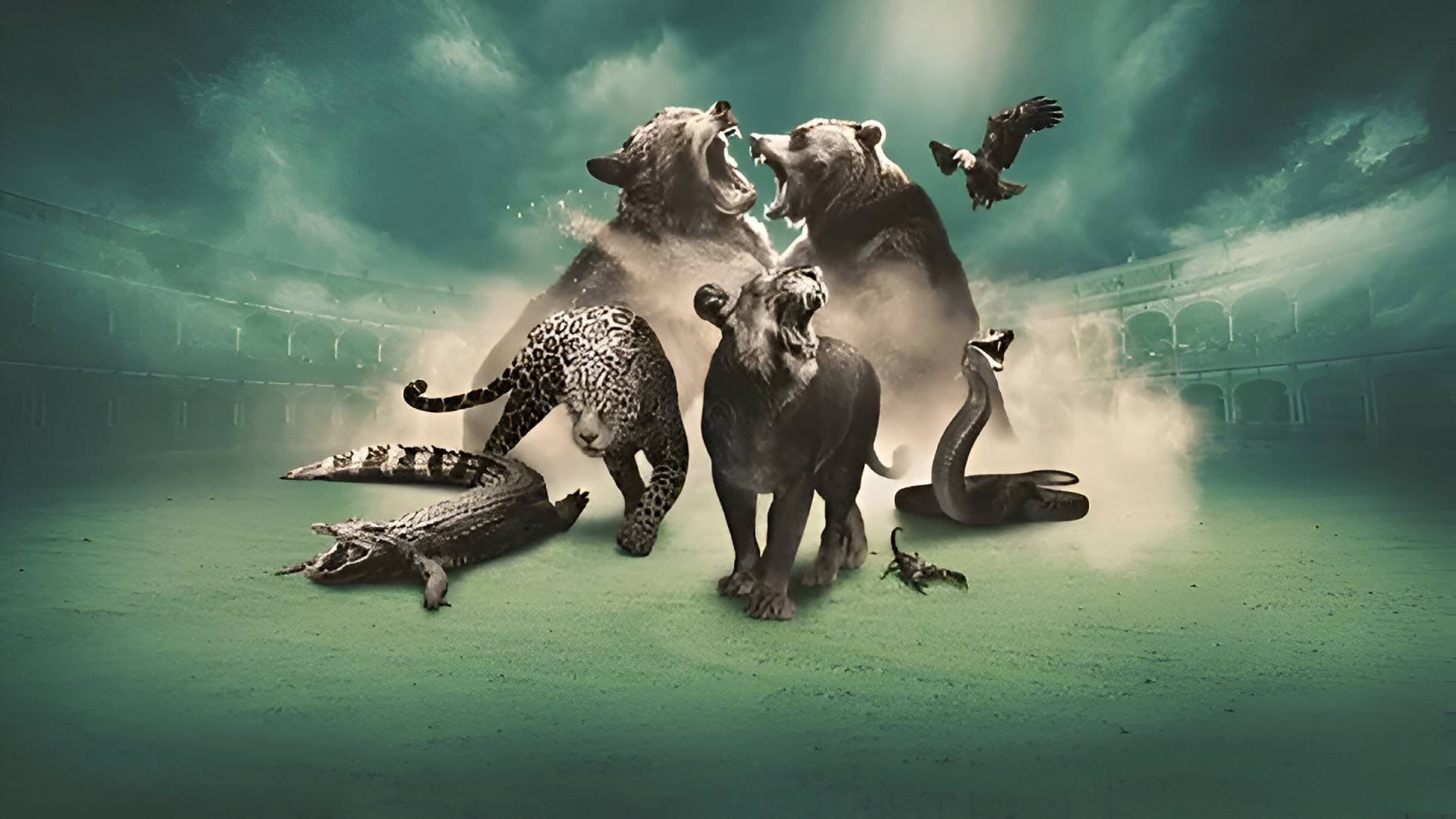 Backdrop image