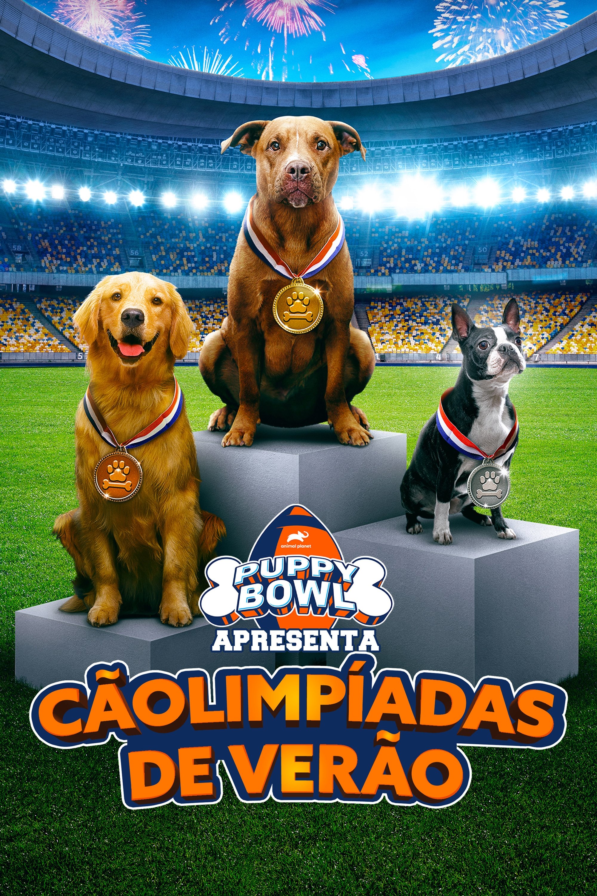 Poster de Puppy Bowl Apresenta: Cãolimpíadas de Verão