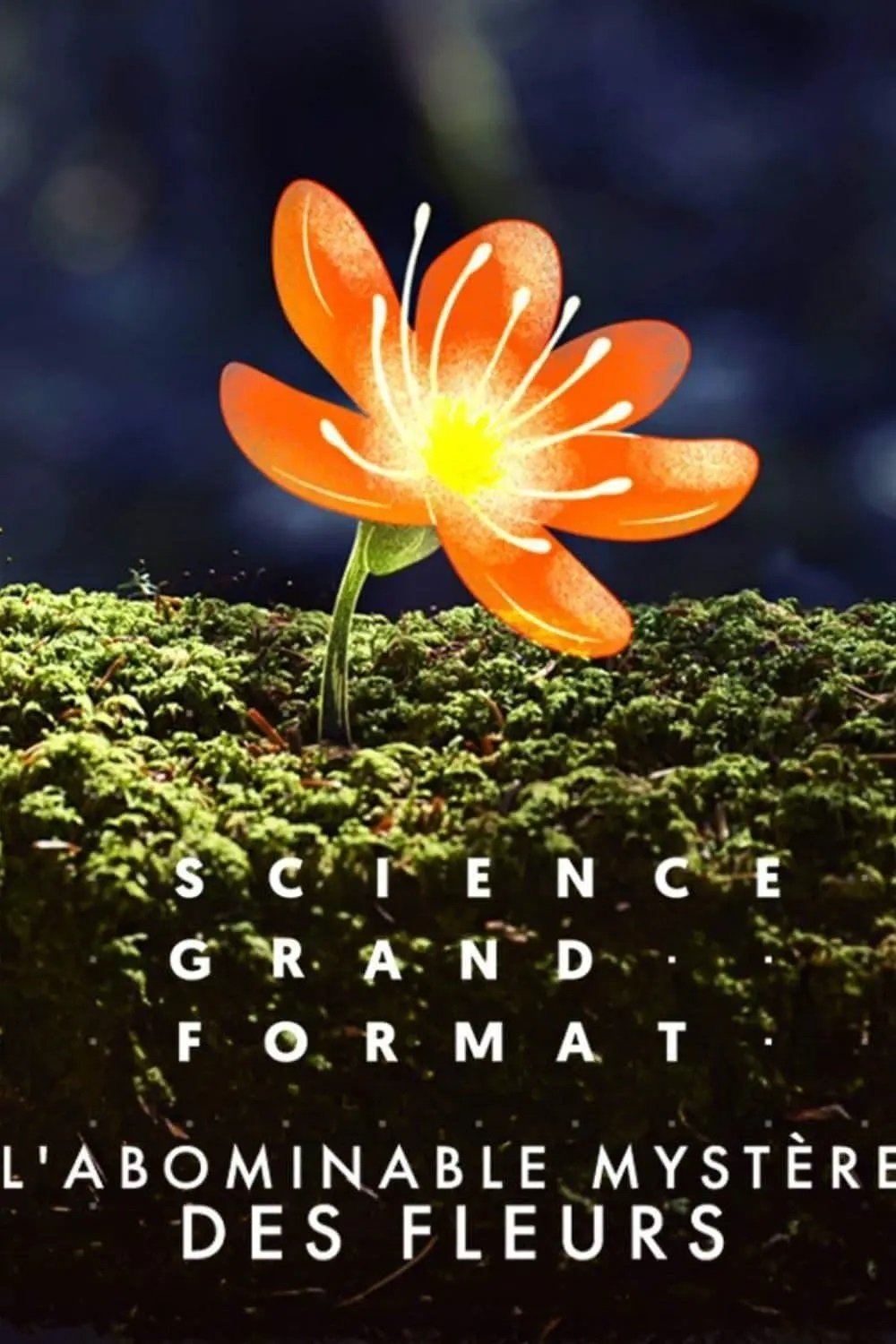 Poster for Flower Power: The Mysterious Conqueror