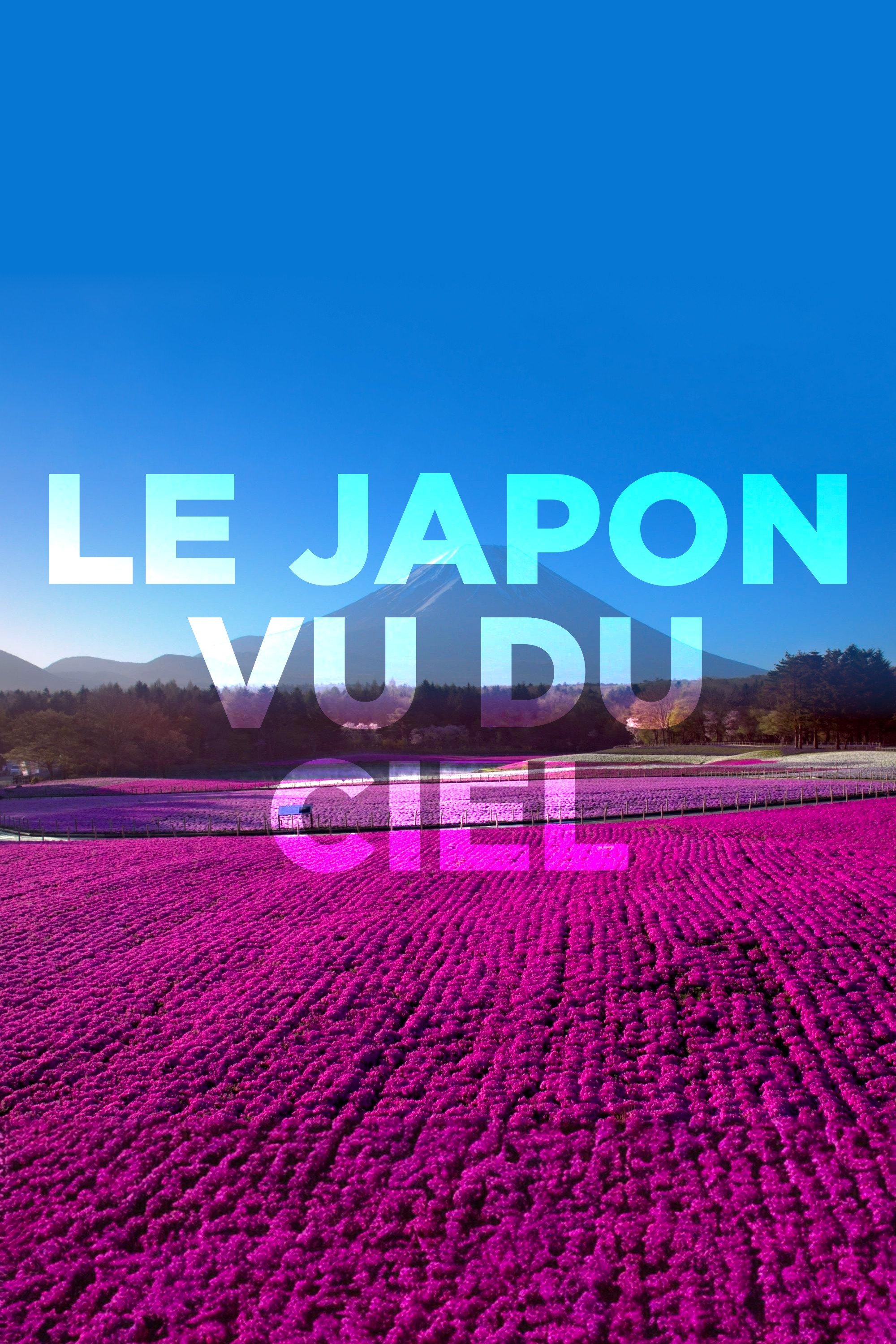 Poster de Japão Visto de Cima (Japan From Above)