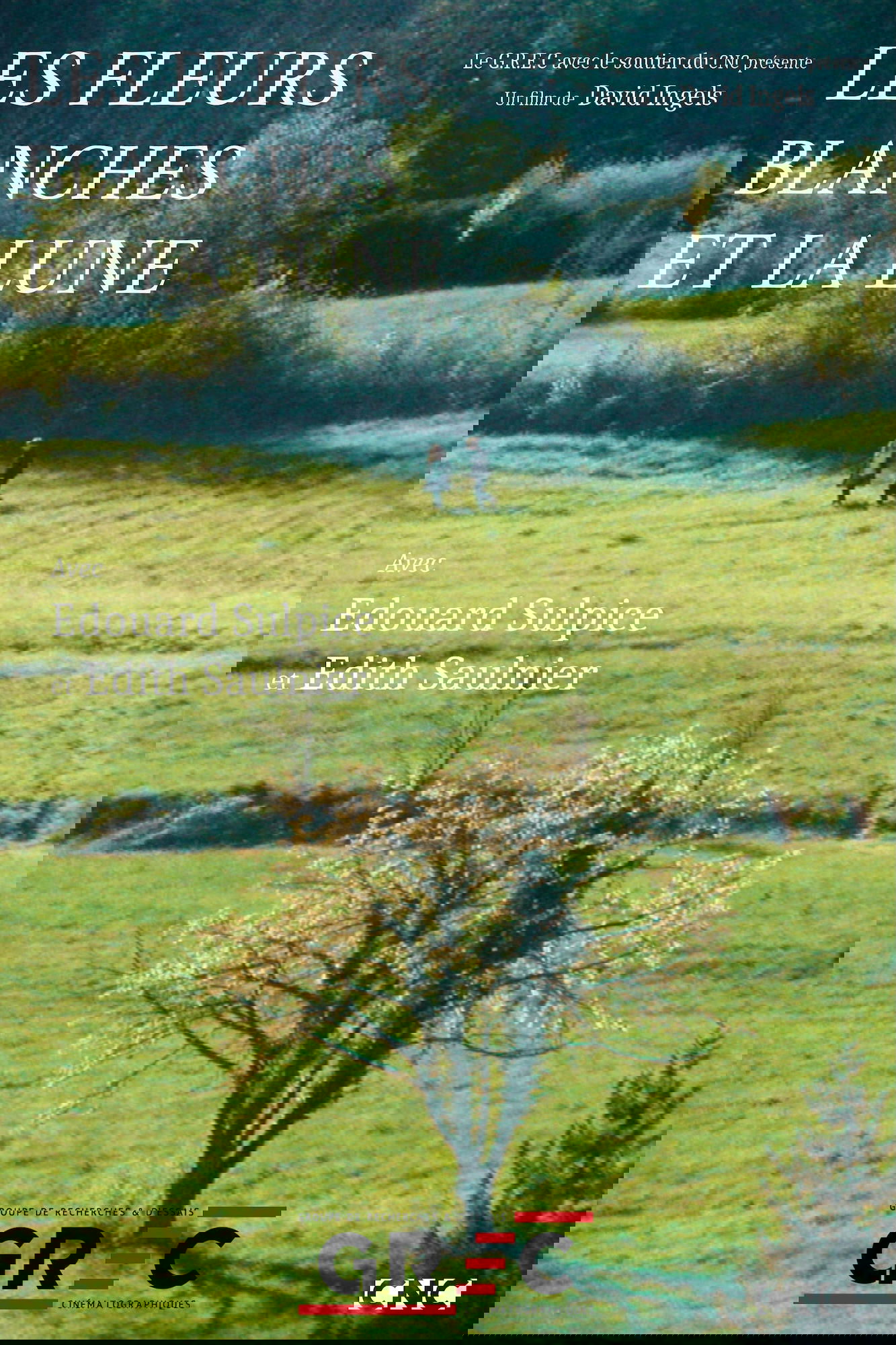 Les Fleurs blanches et la lune