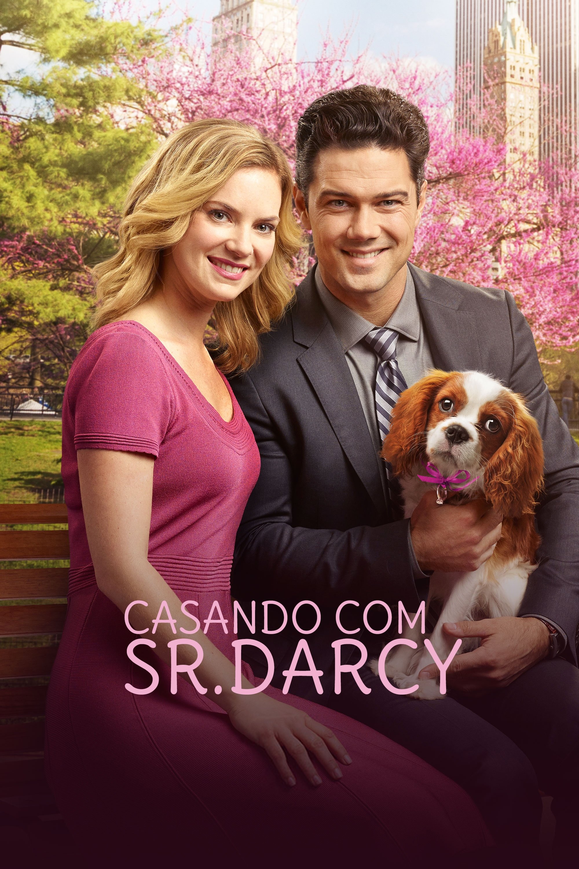 Poster de Casando com Sr. Darcy