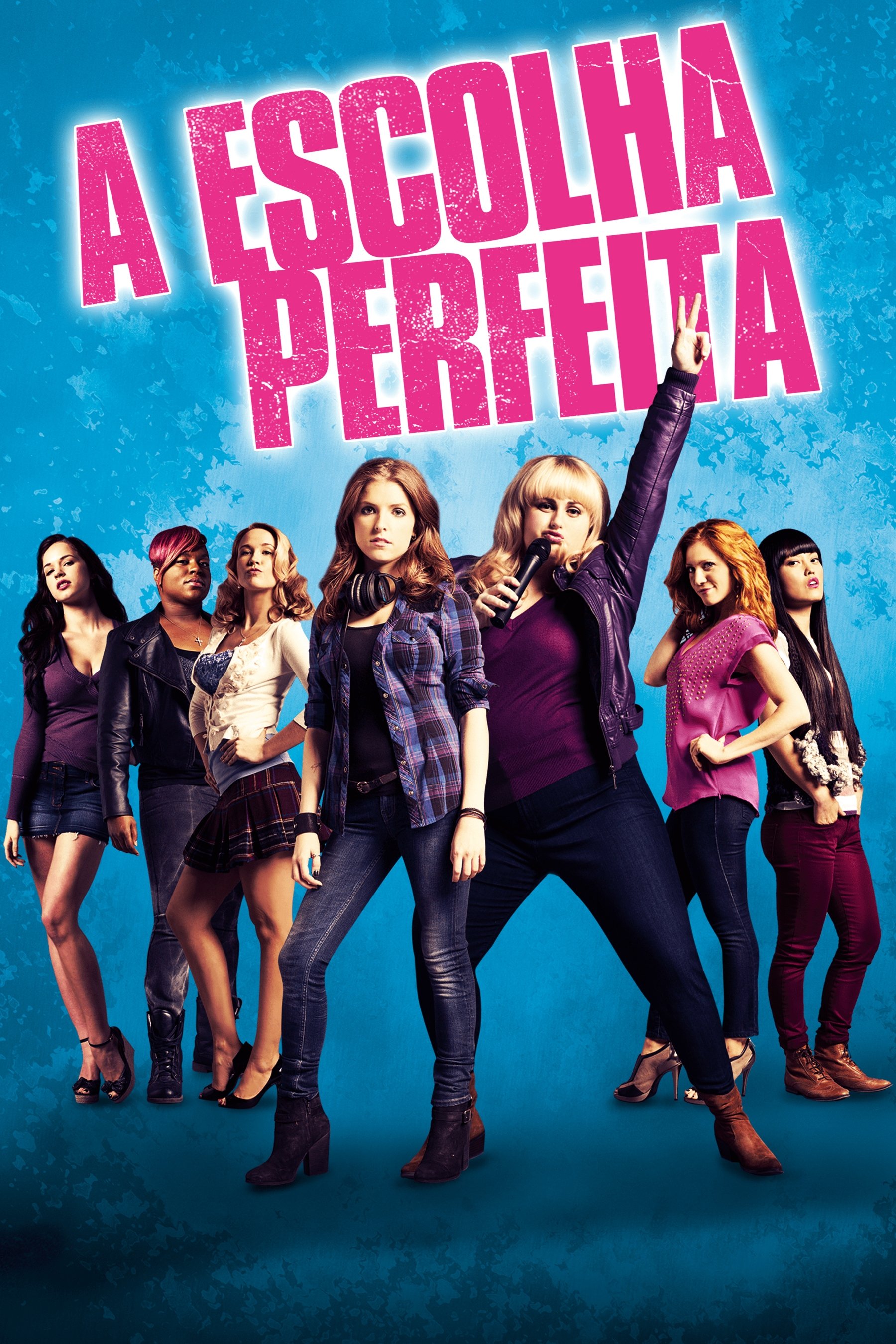 Poster de A Escolha Perfeita