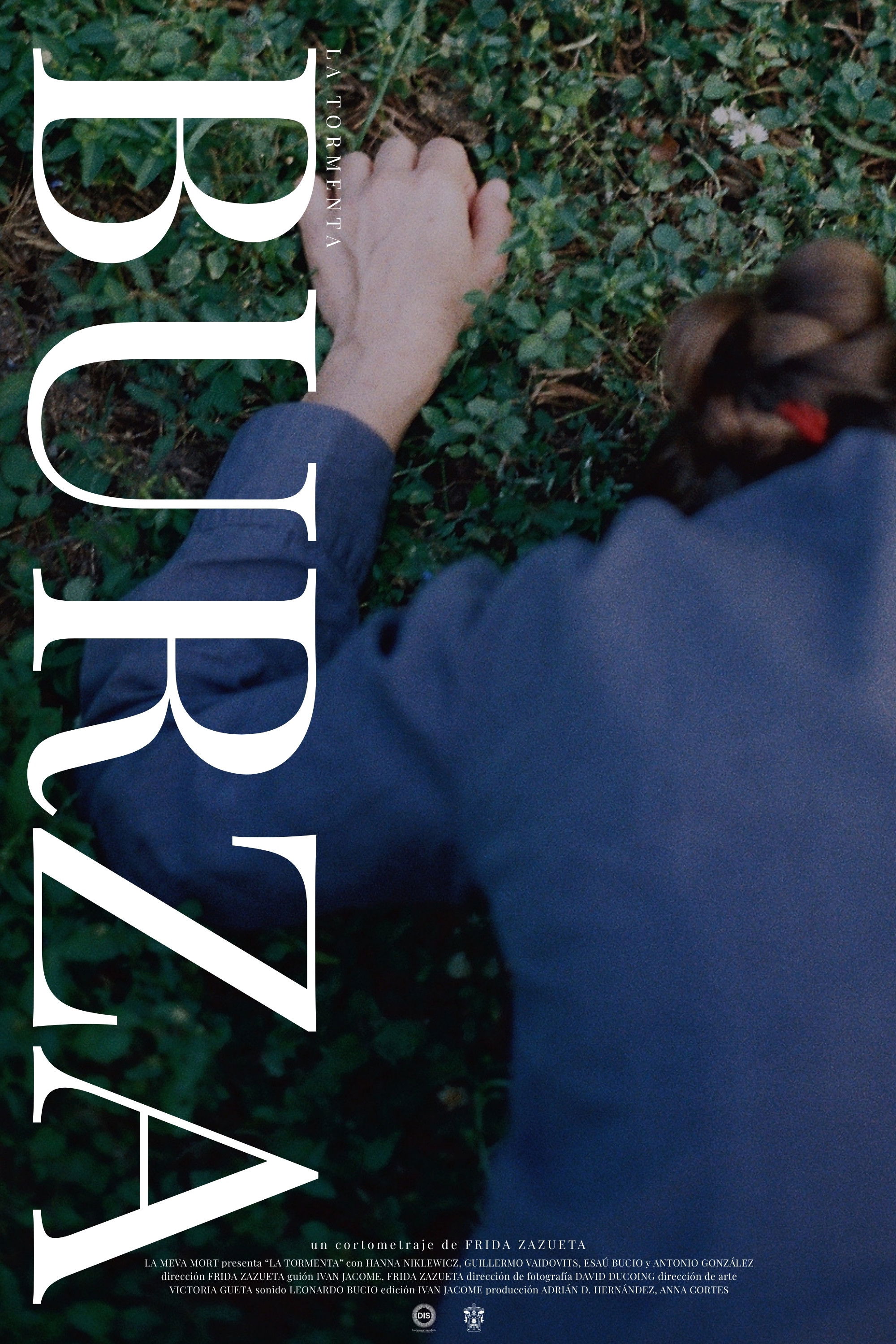 Poster de La Tormenta