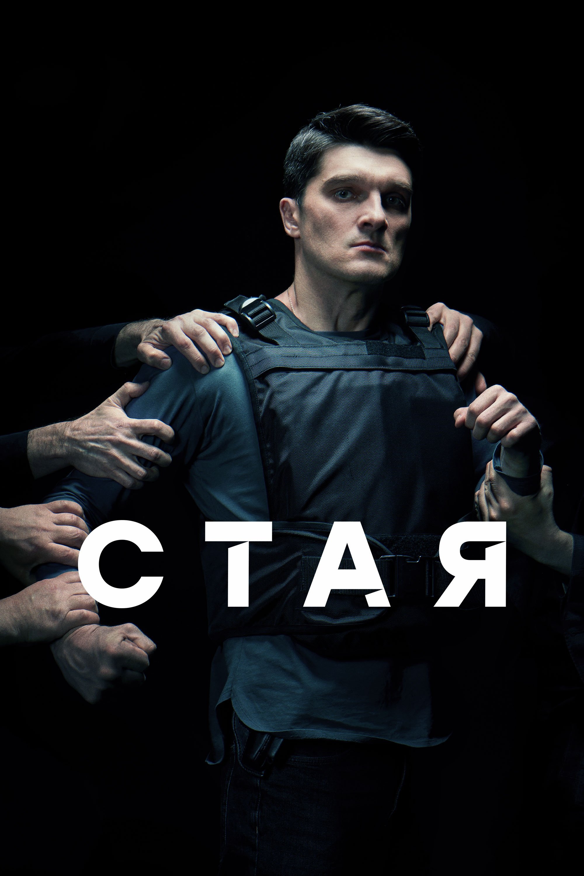 Poster de Стая