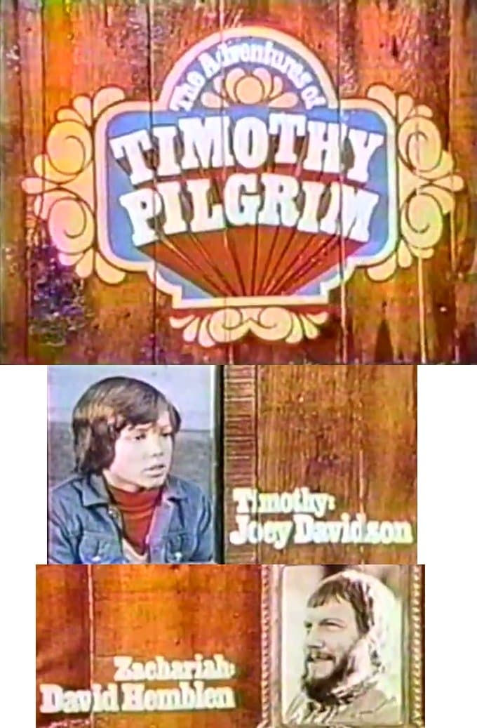 Poster de The Adventures of Timothy Pilgrim