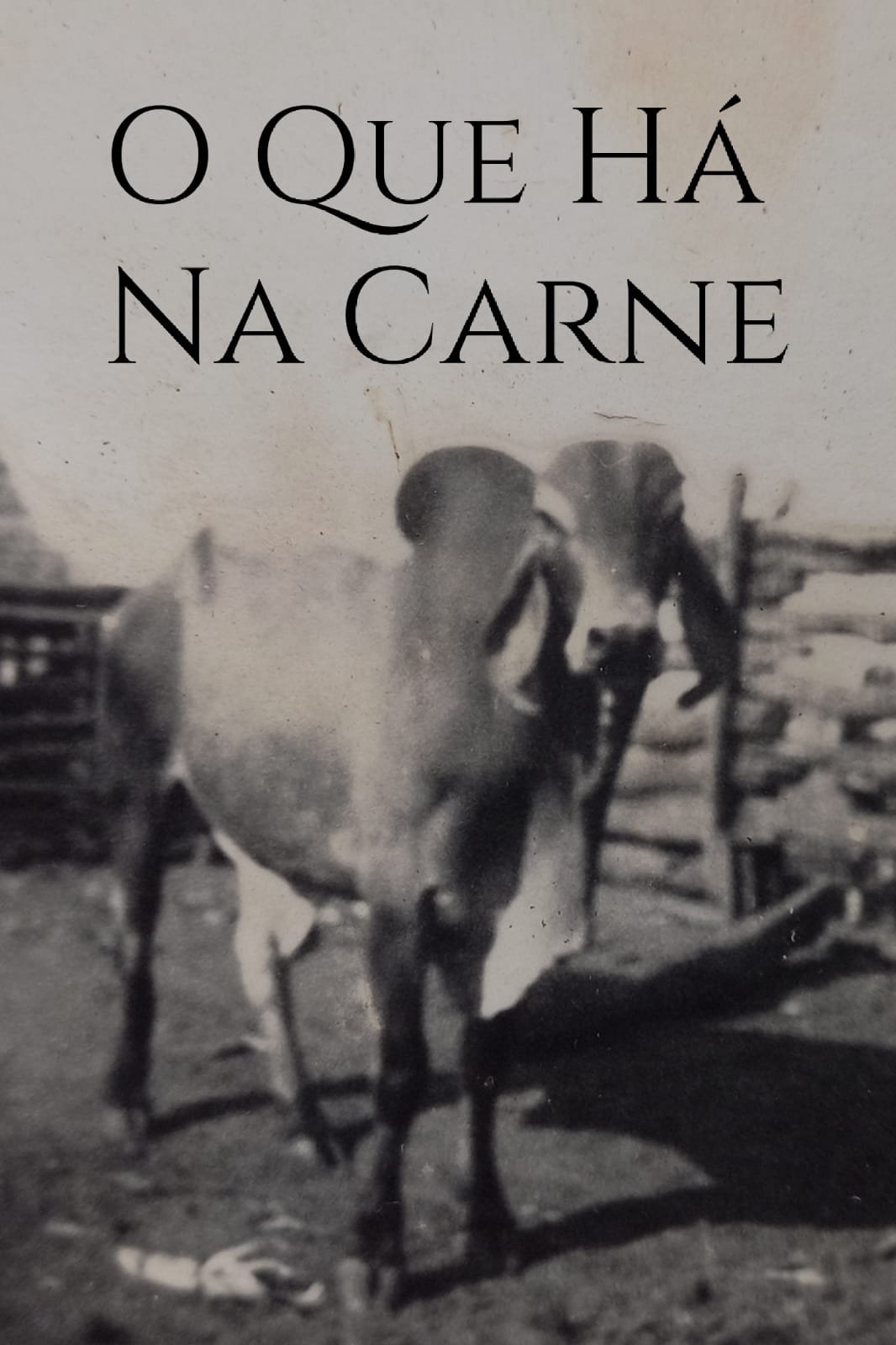 Poster de O Que Há Na Carne