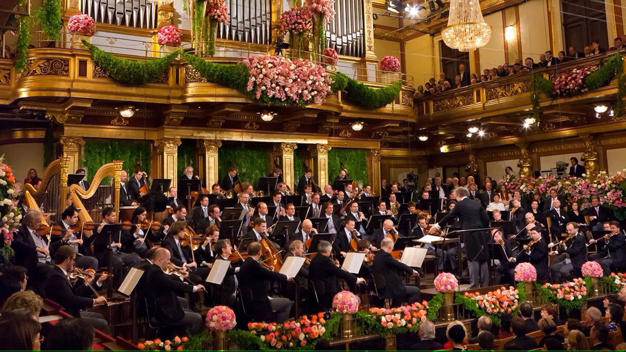 New Year's Concert 2011 - Vienna Philharmonic