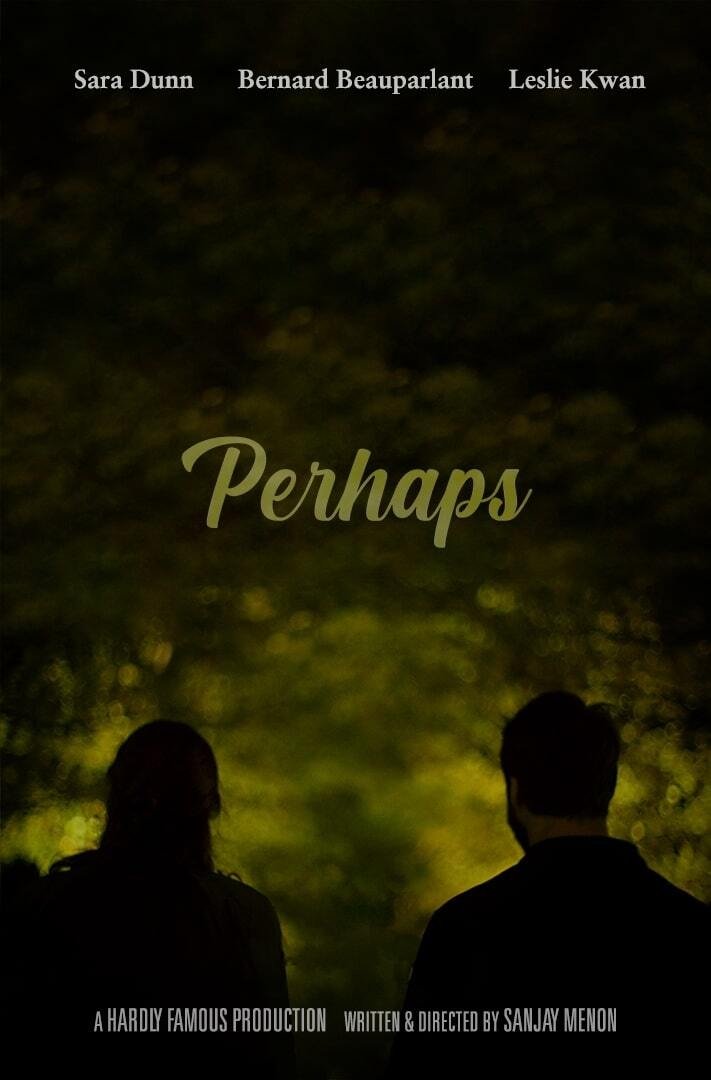Poster de Perhaps