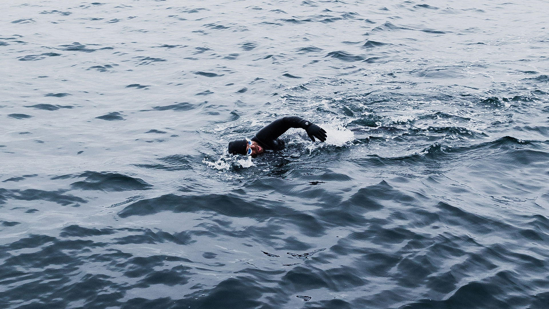 West Iceland, Kingdom of the Bull