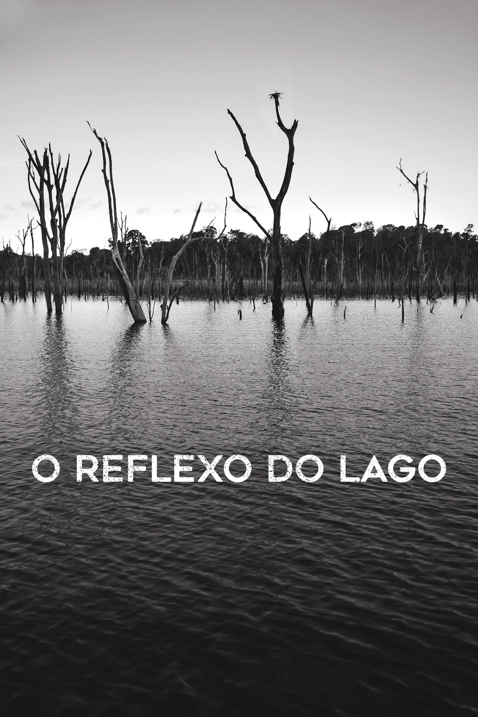 Poster de O Reflexo do Lago