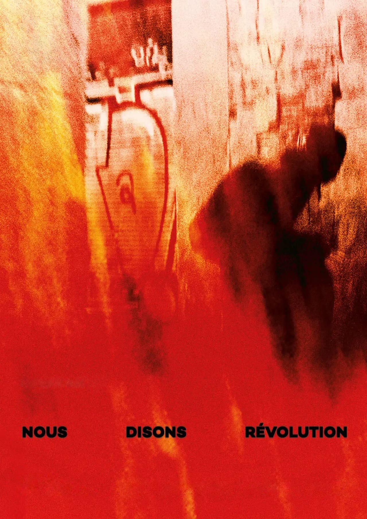 Poster de Nous disons révolution