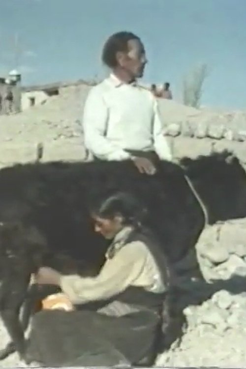 Poster de Echoes From Tibet