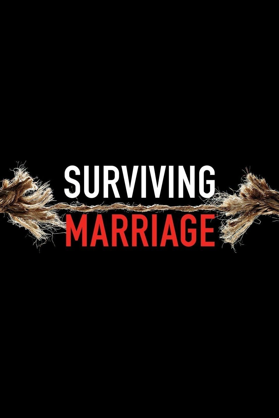 Poster de Surviving Marriage