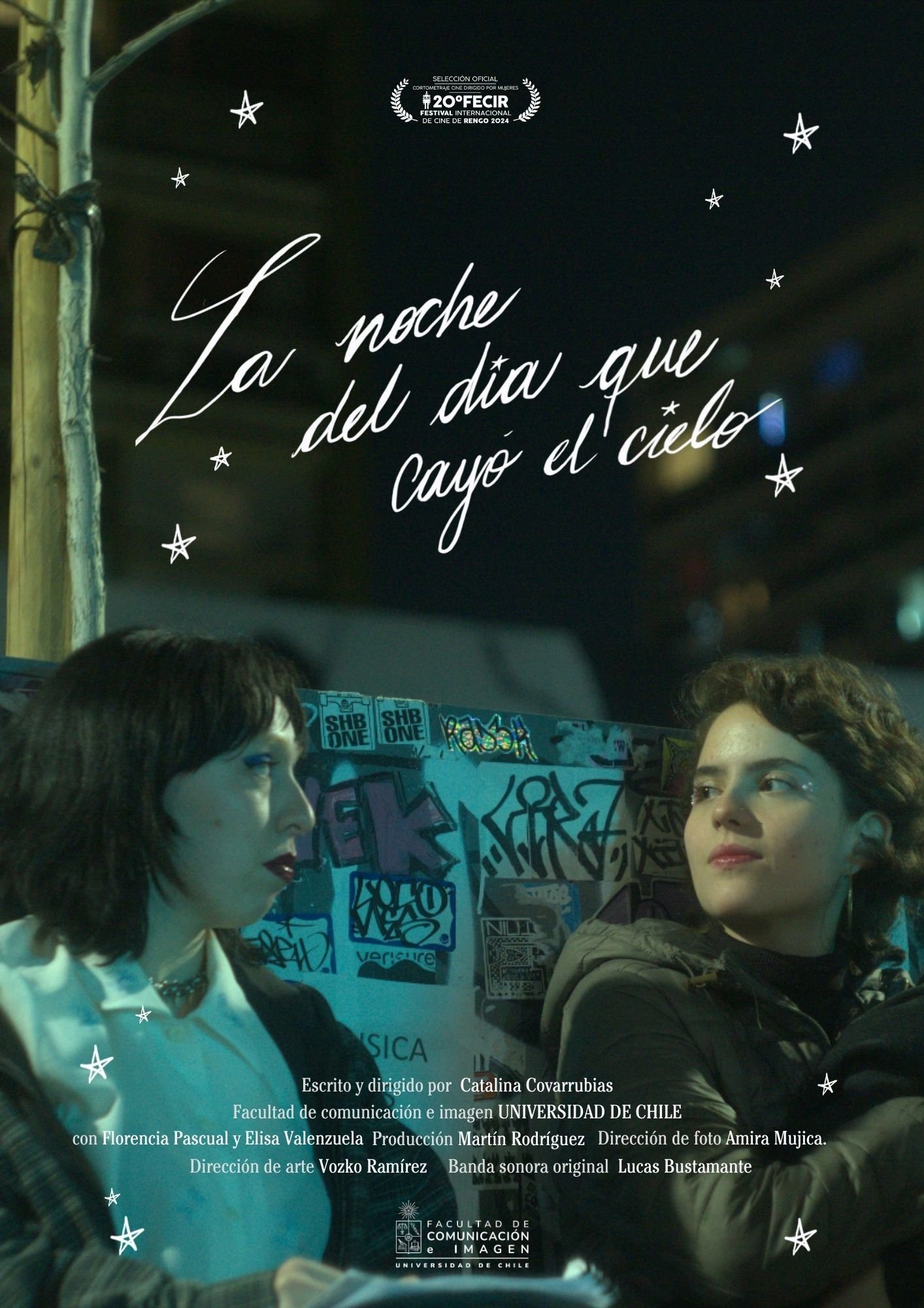 Poster de La noche del día que cayó el cielo