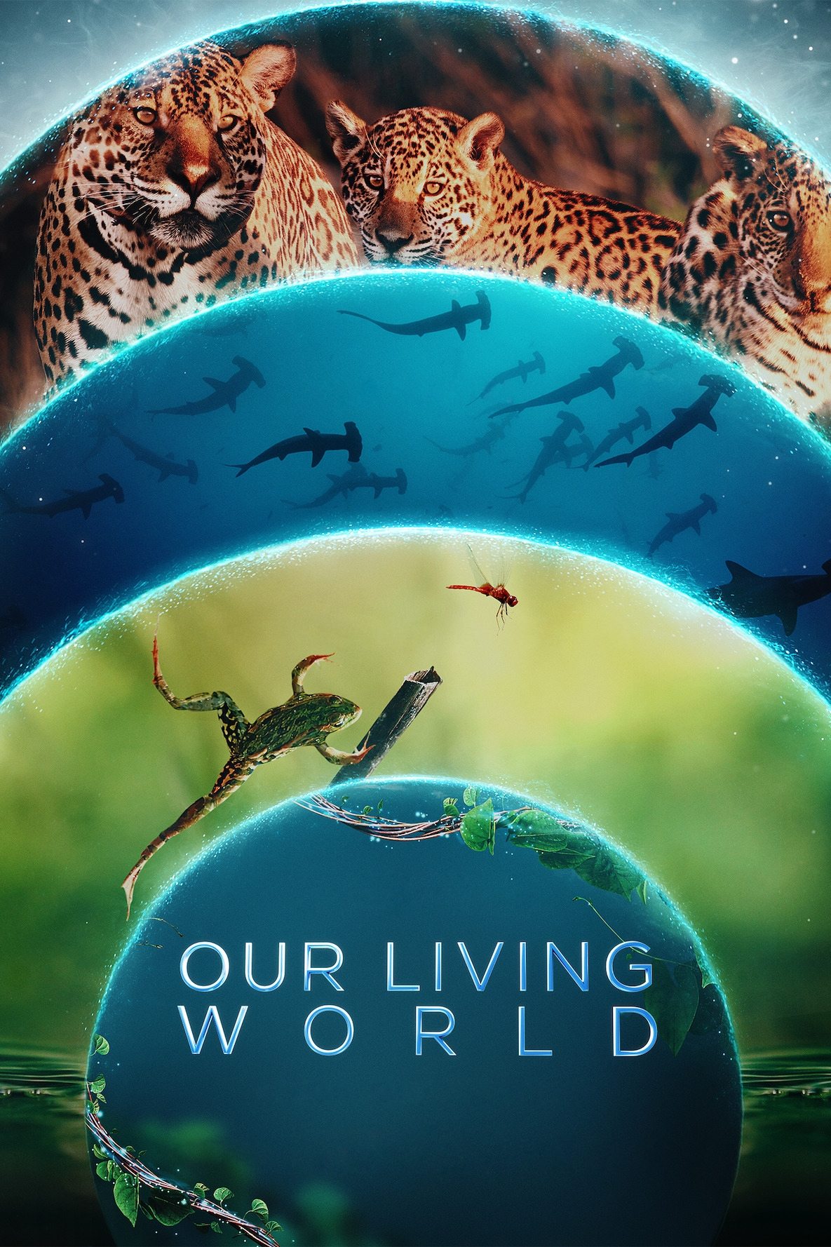 Poster de Planeta Vivo