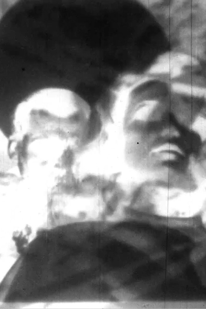 Poster de Black Fungus