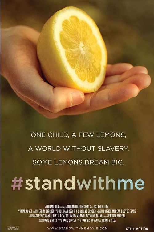 Poster de #standwithme