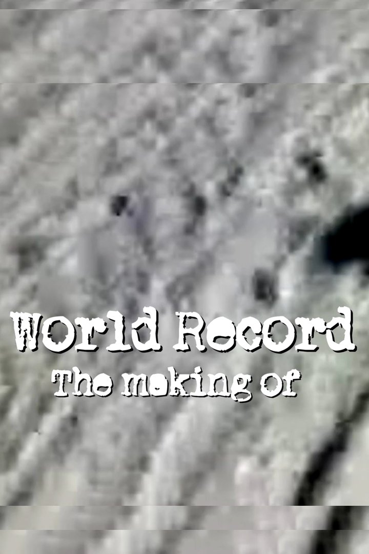 Poster de Neil Young & Crazy Horse: World Record: The Making Of - A Chronicle of the Music