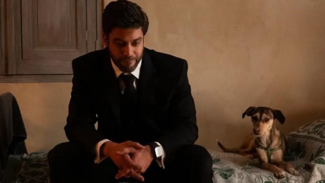 Episode 29