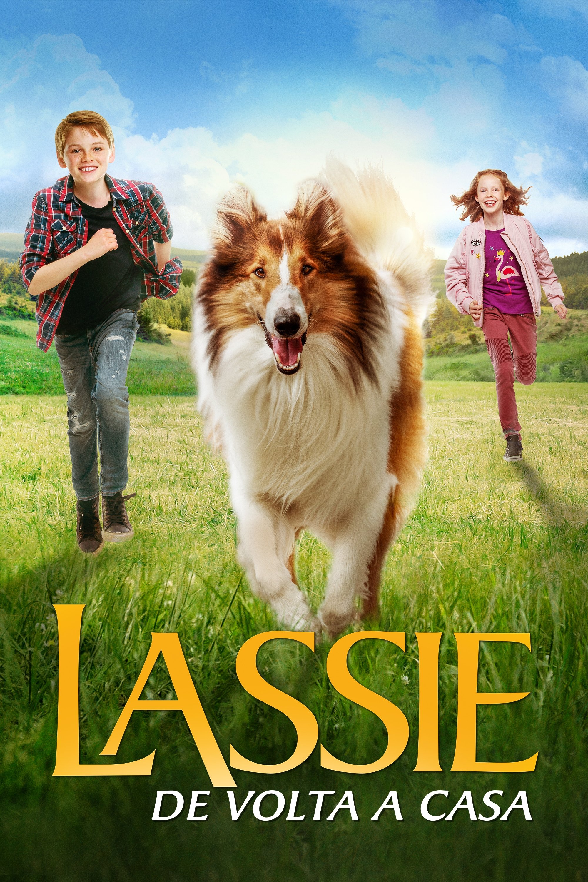 Poster de Lassie de Volta a Casa