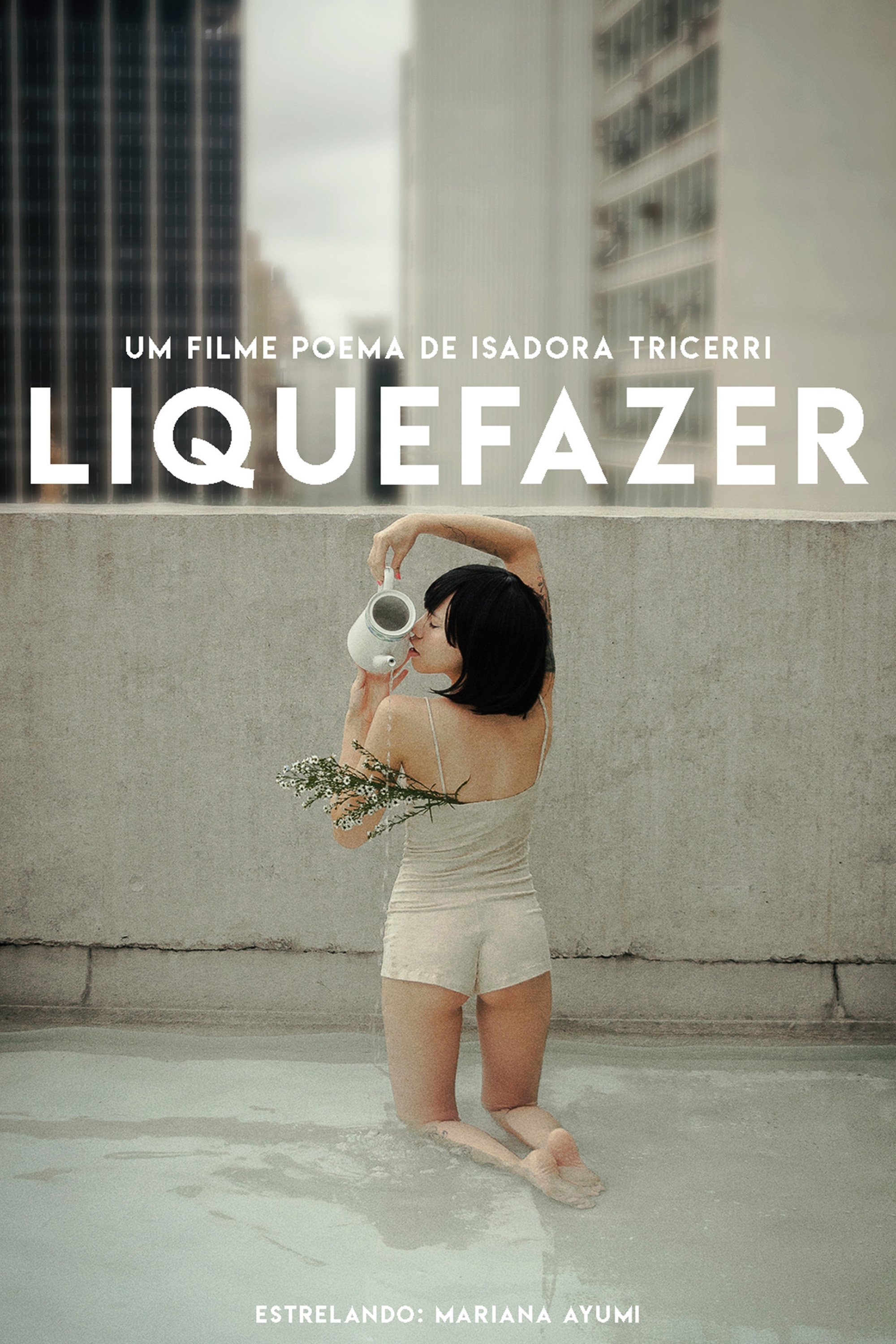 Poster de Liquefazer