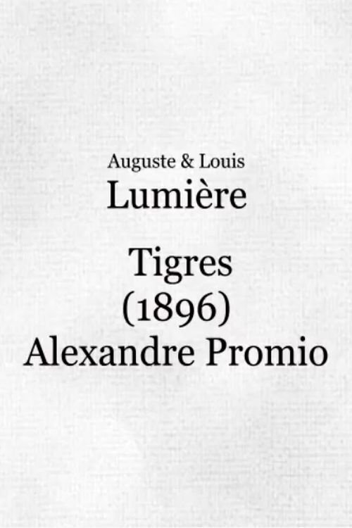 Poster de Tigres