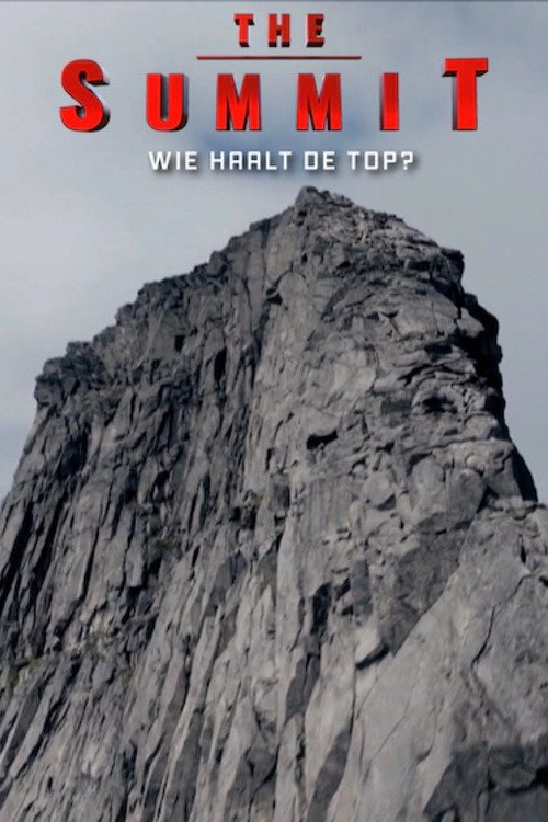 Poster de The Summit