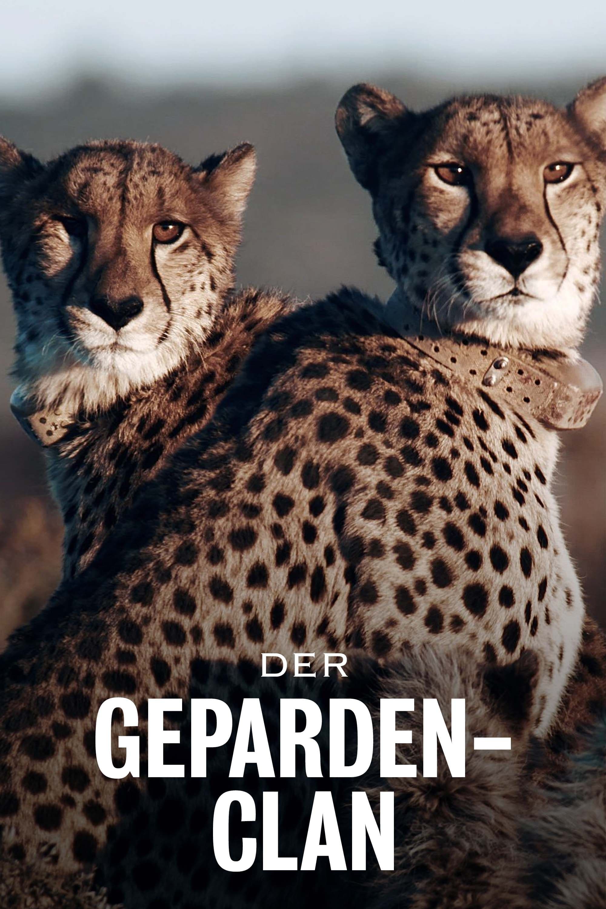 Poster de Der Geparden-Clan