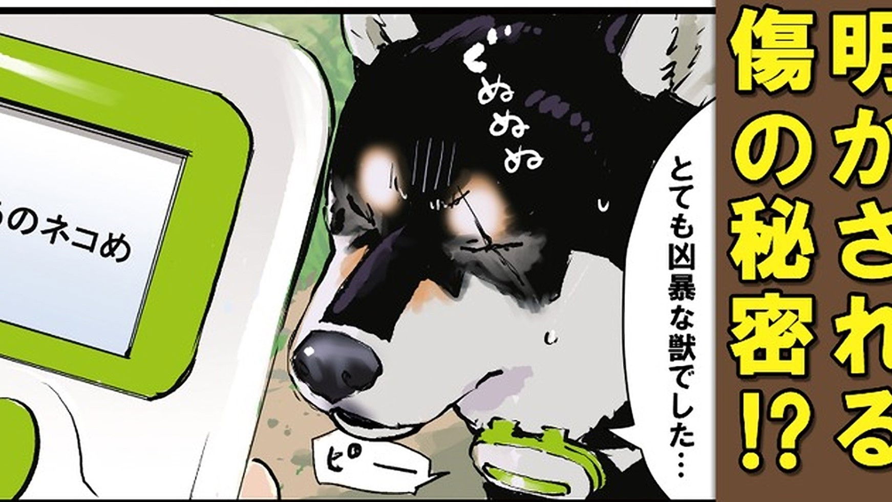 Washed Up / Drift-Penguin / Lie Detector: Black Shiba Sequel