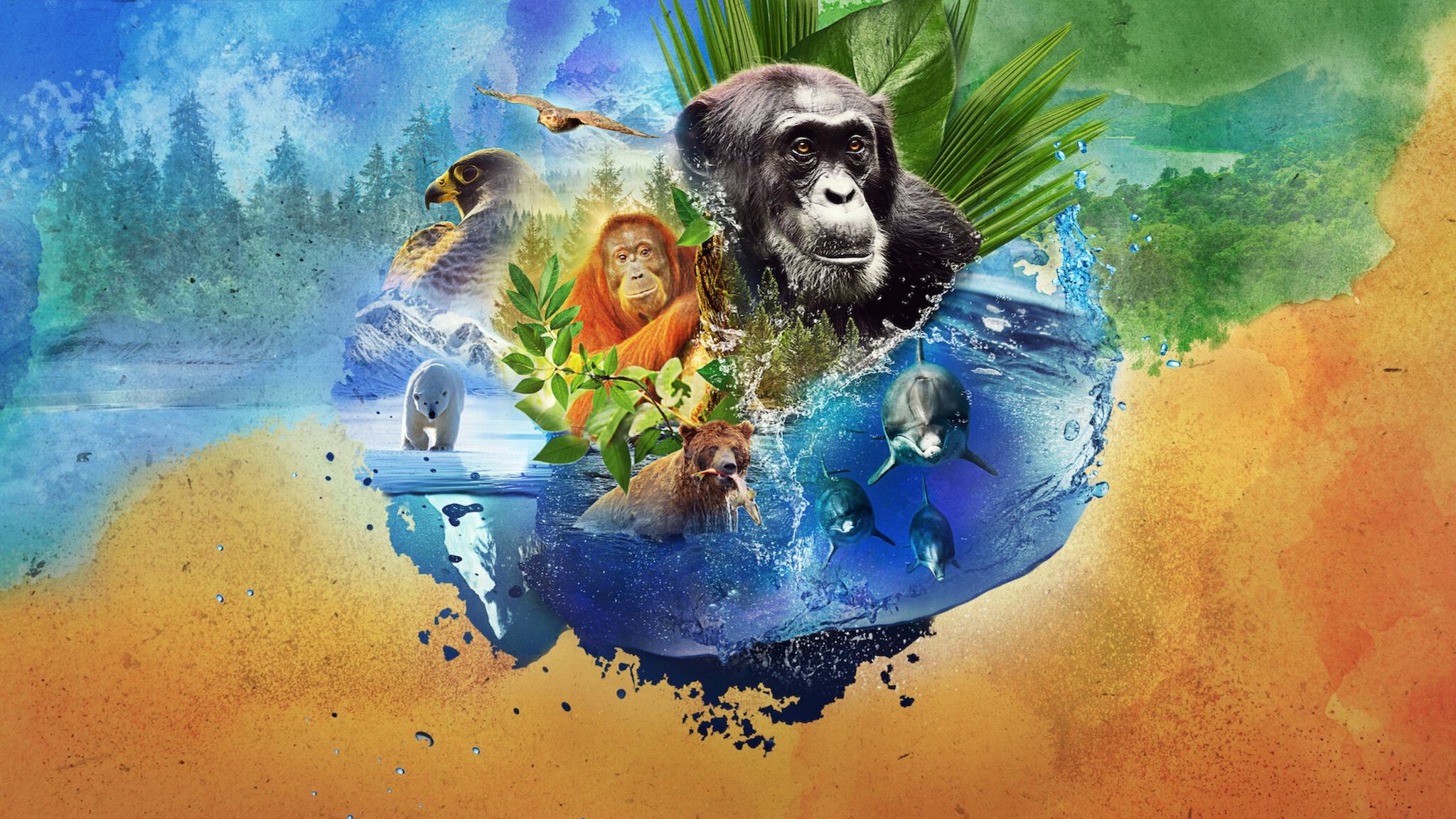 Backdrop image