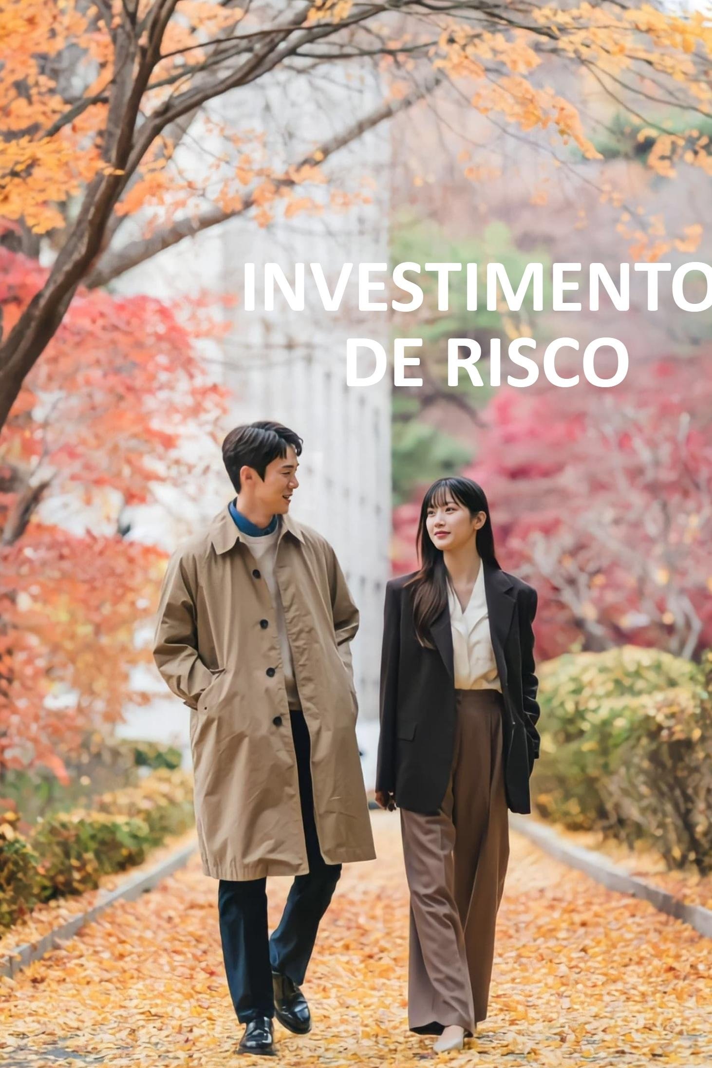 Poster de Investimento de Risco