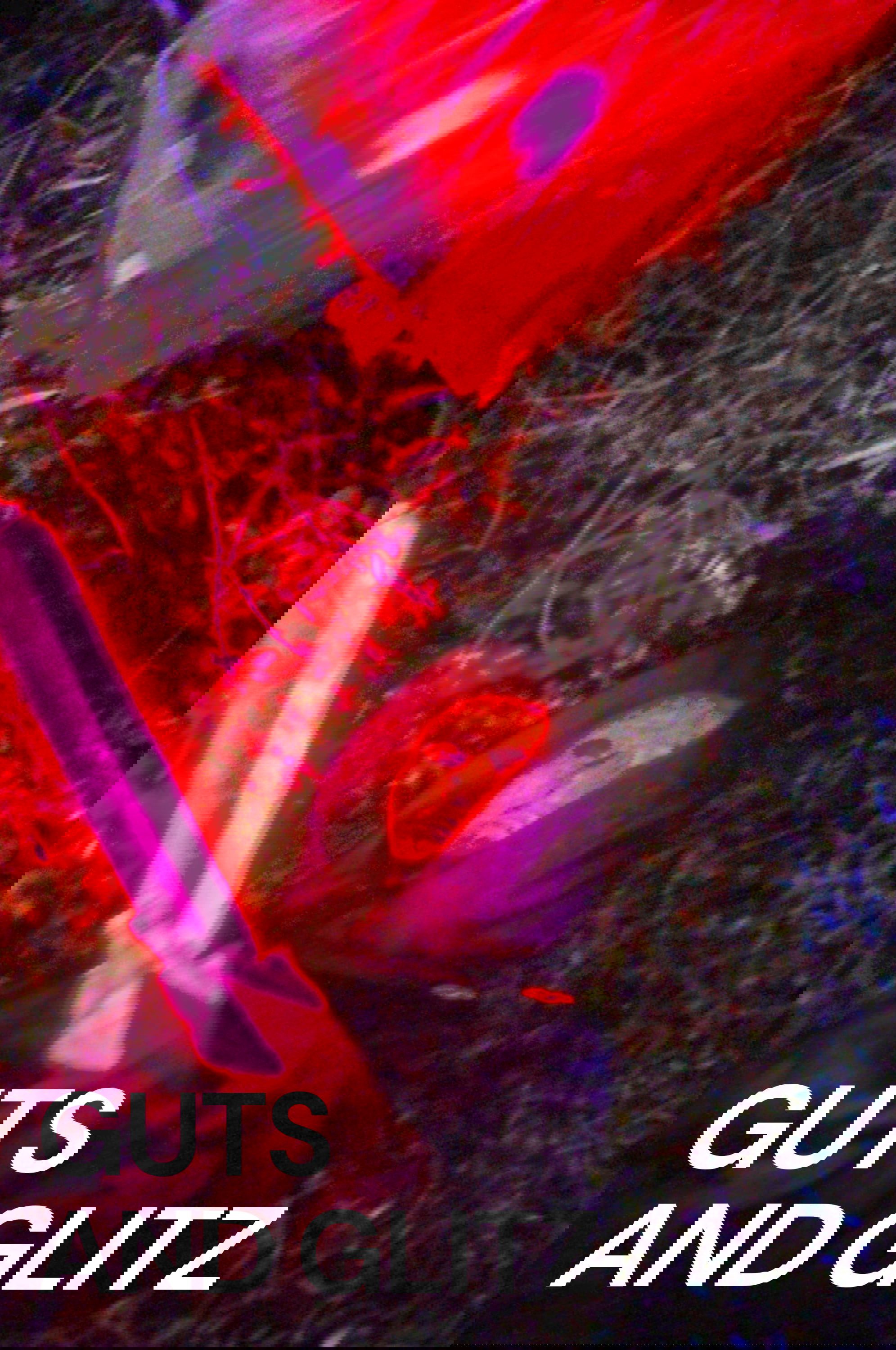 Poster de Guts and Glitz