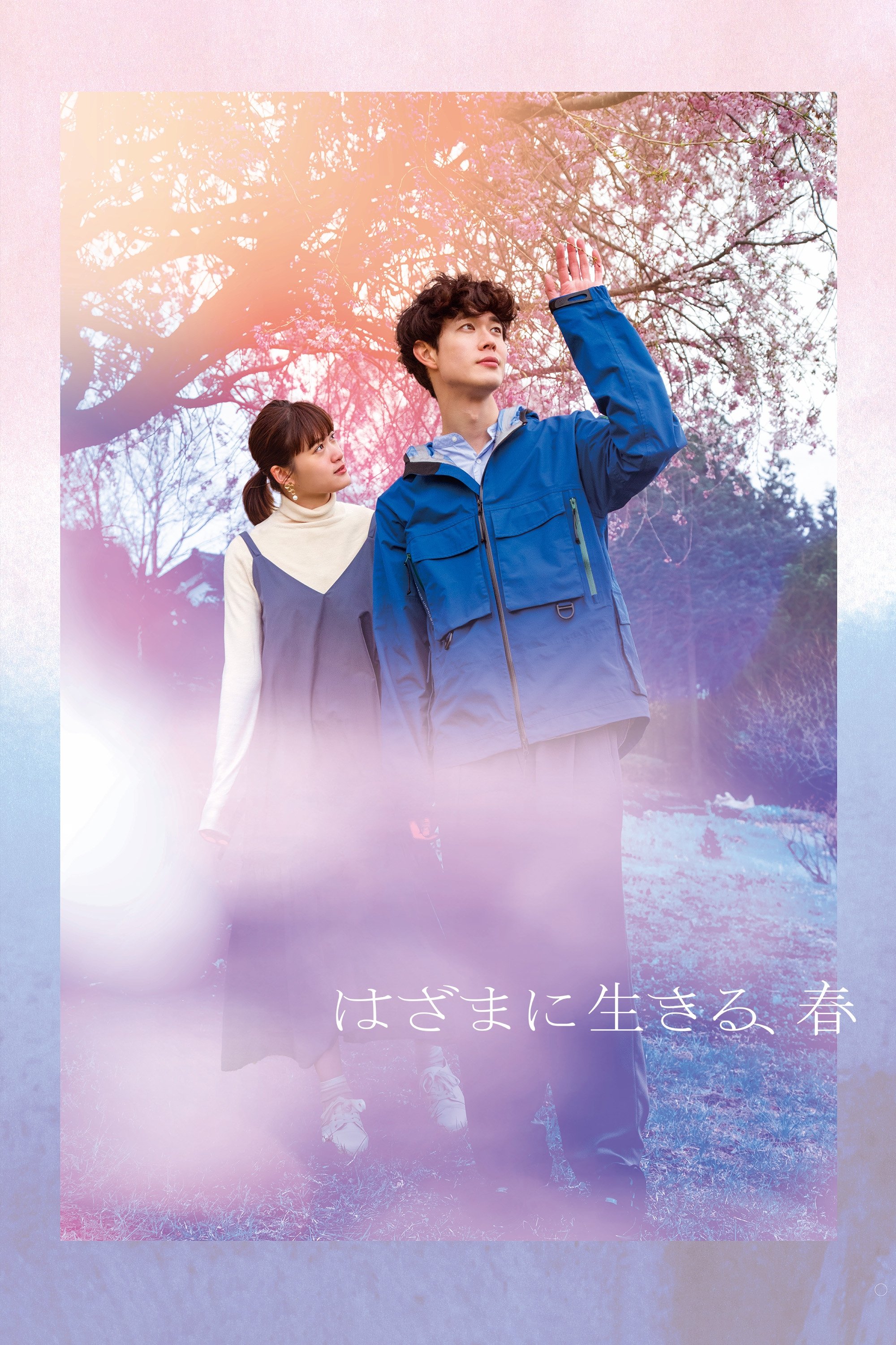 Poster de はざまに生きる、春
