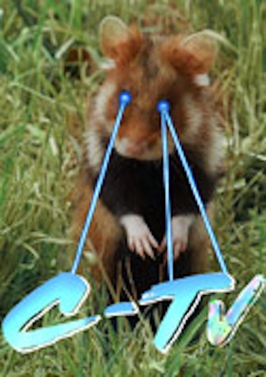 Poster de C-TV (Wenn ich Dir sage, ich habe Dich gern ...)