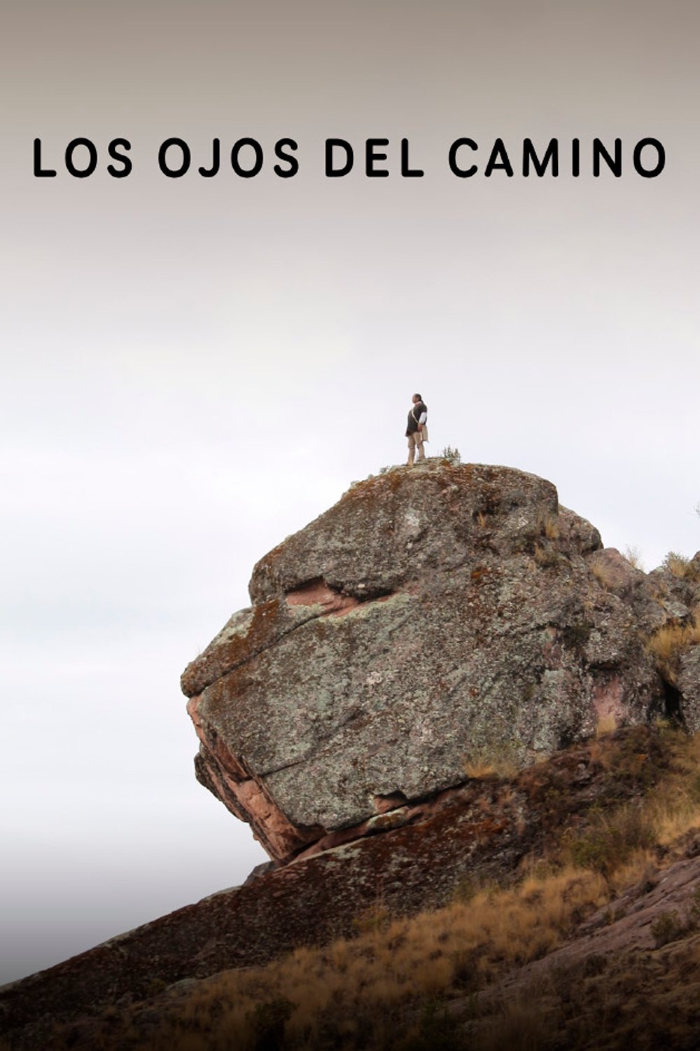 Poster de Los Ojos del Camino