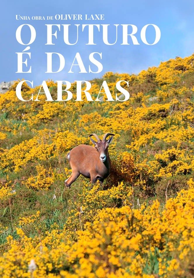 O futuro é das cabras