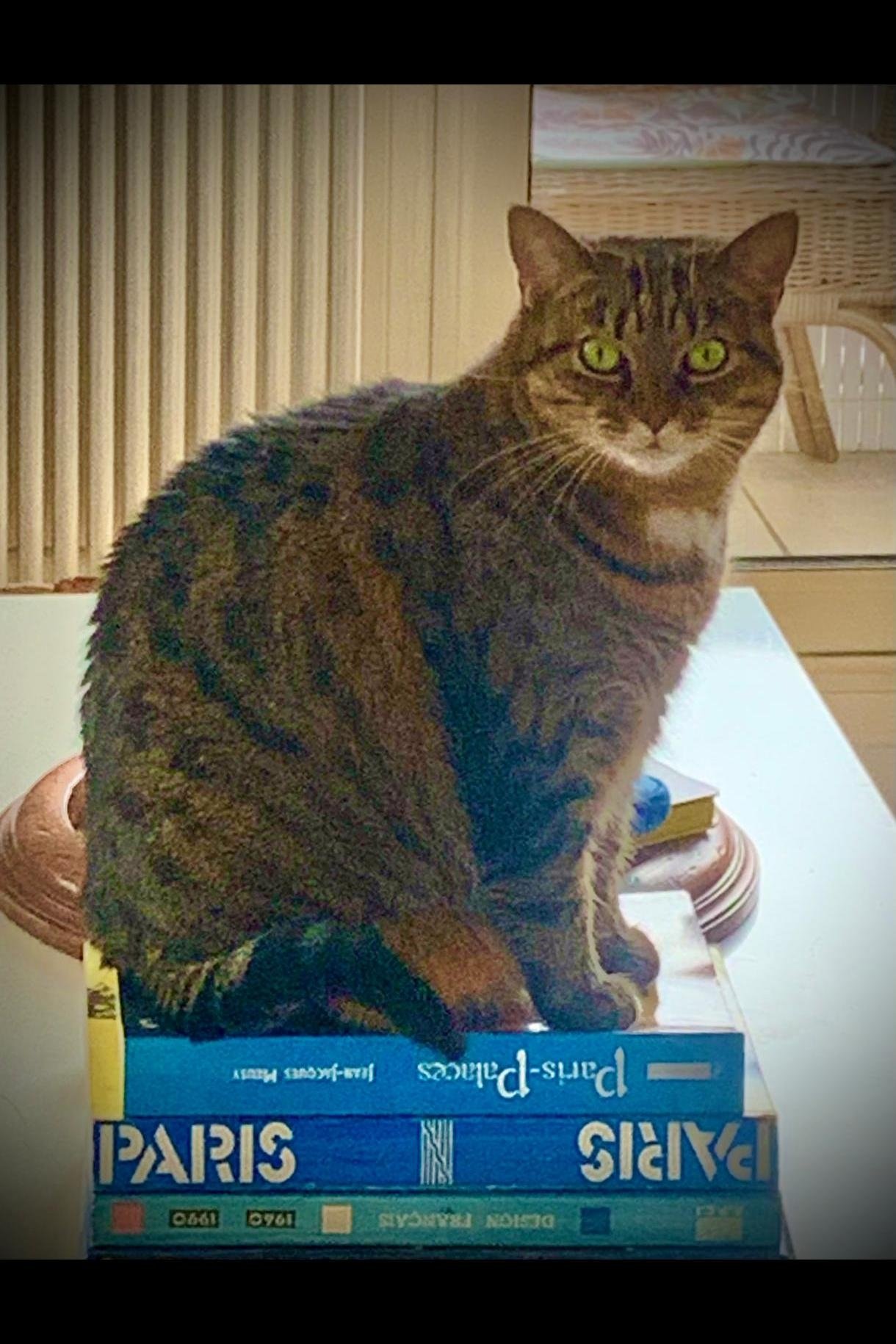 Profil Fotoğrafı