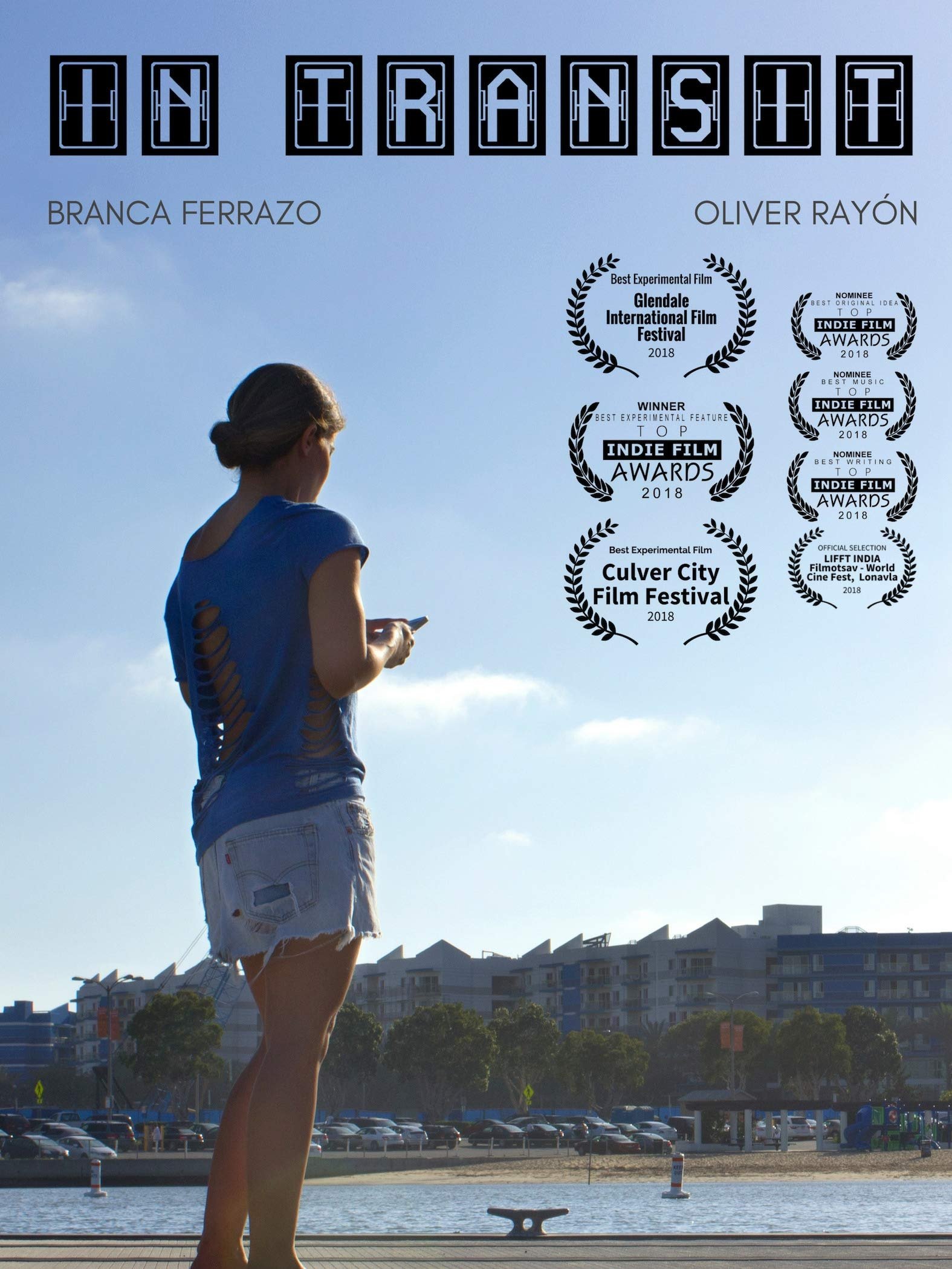 Poster de In Transit