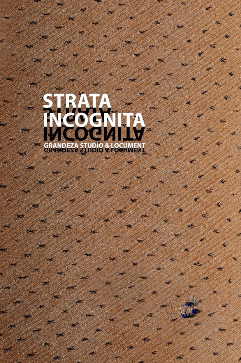 Poster de STRATA INCOGNITA