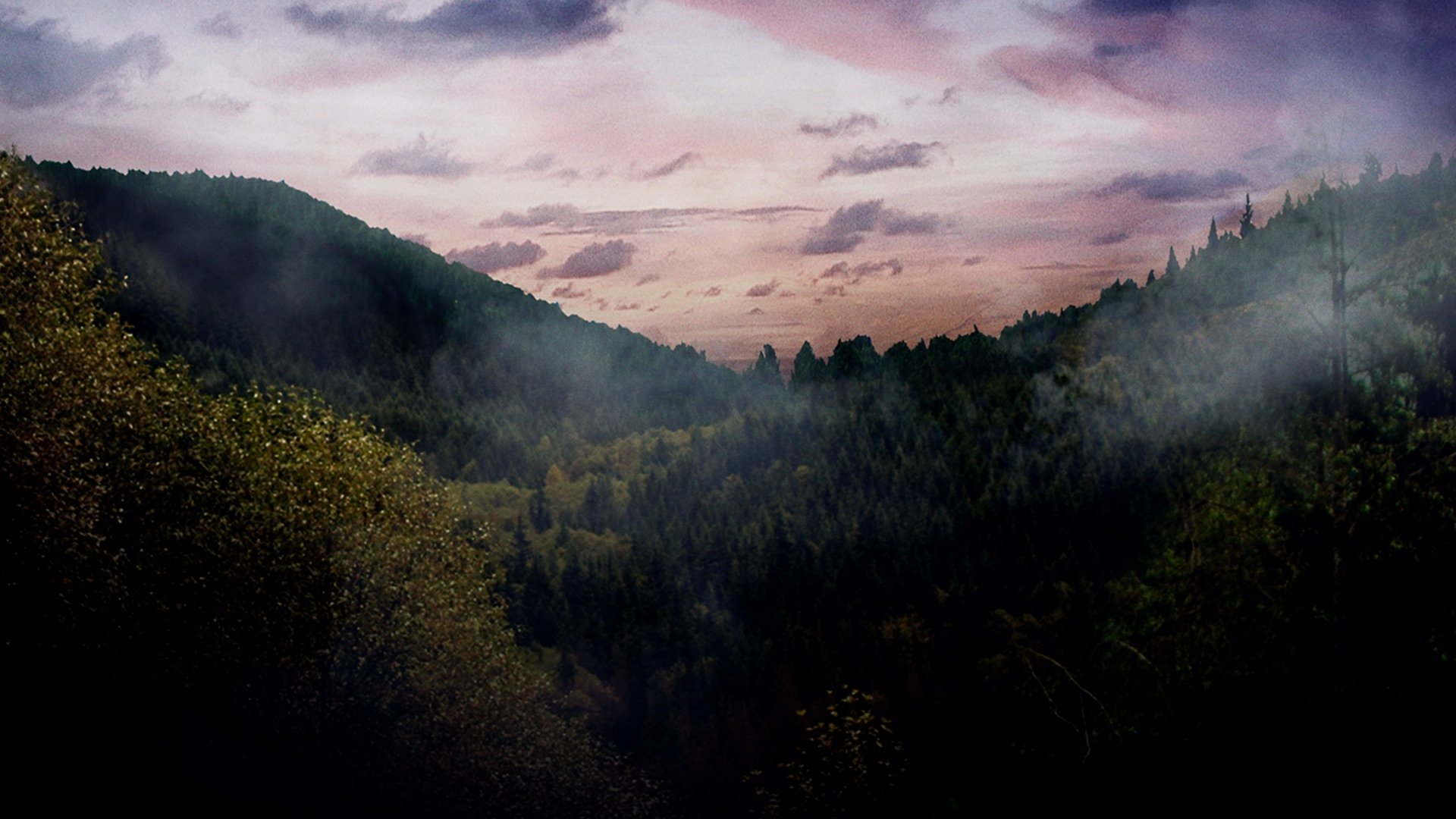 backdrops