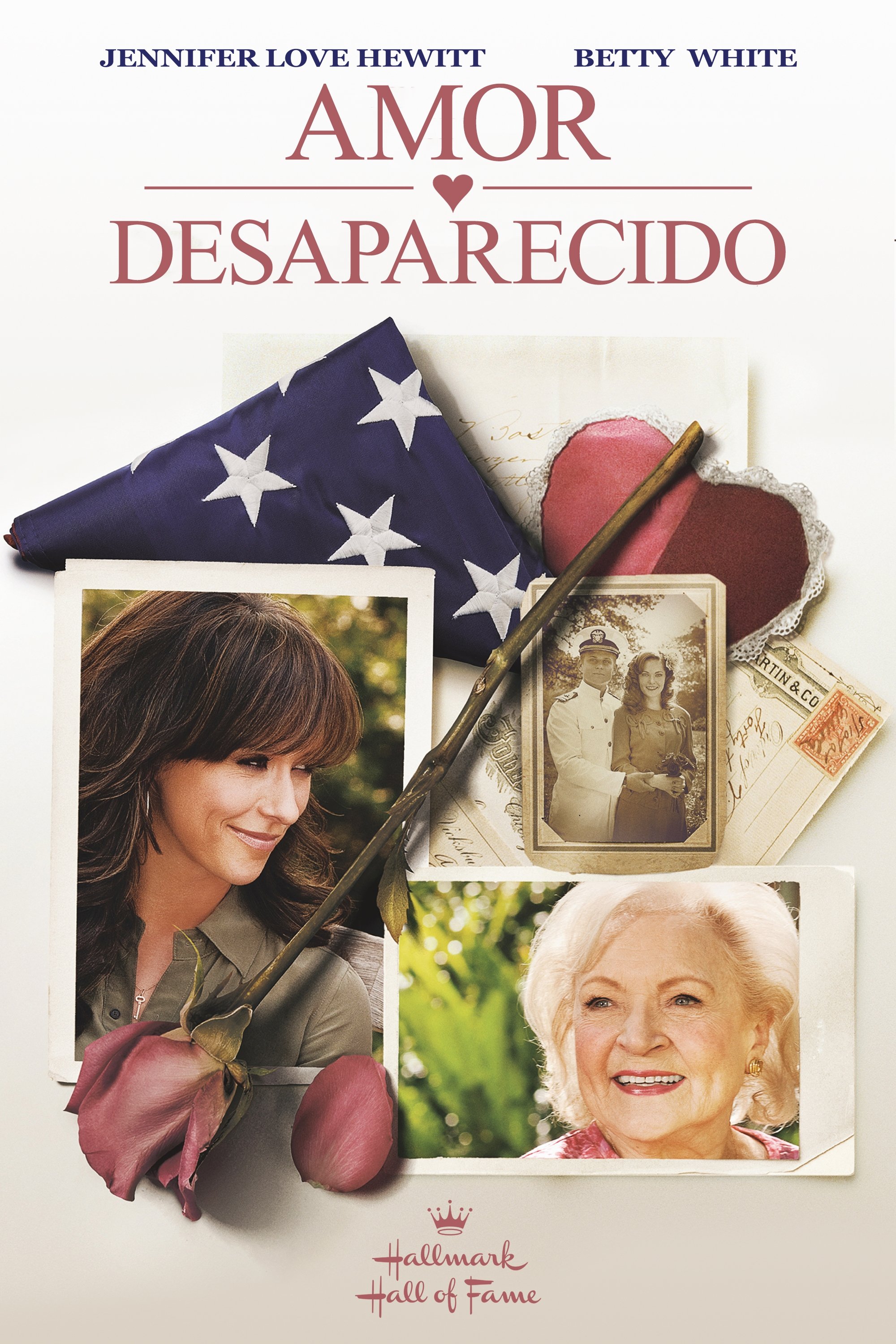 Poster de Amor Desaparecido