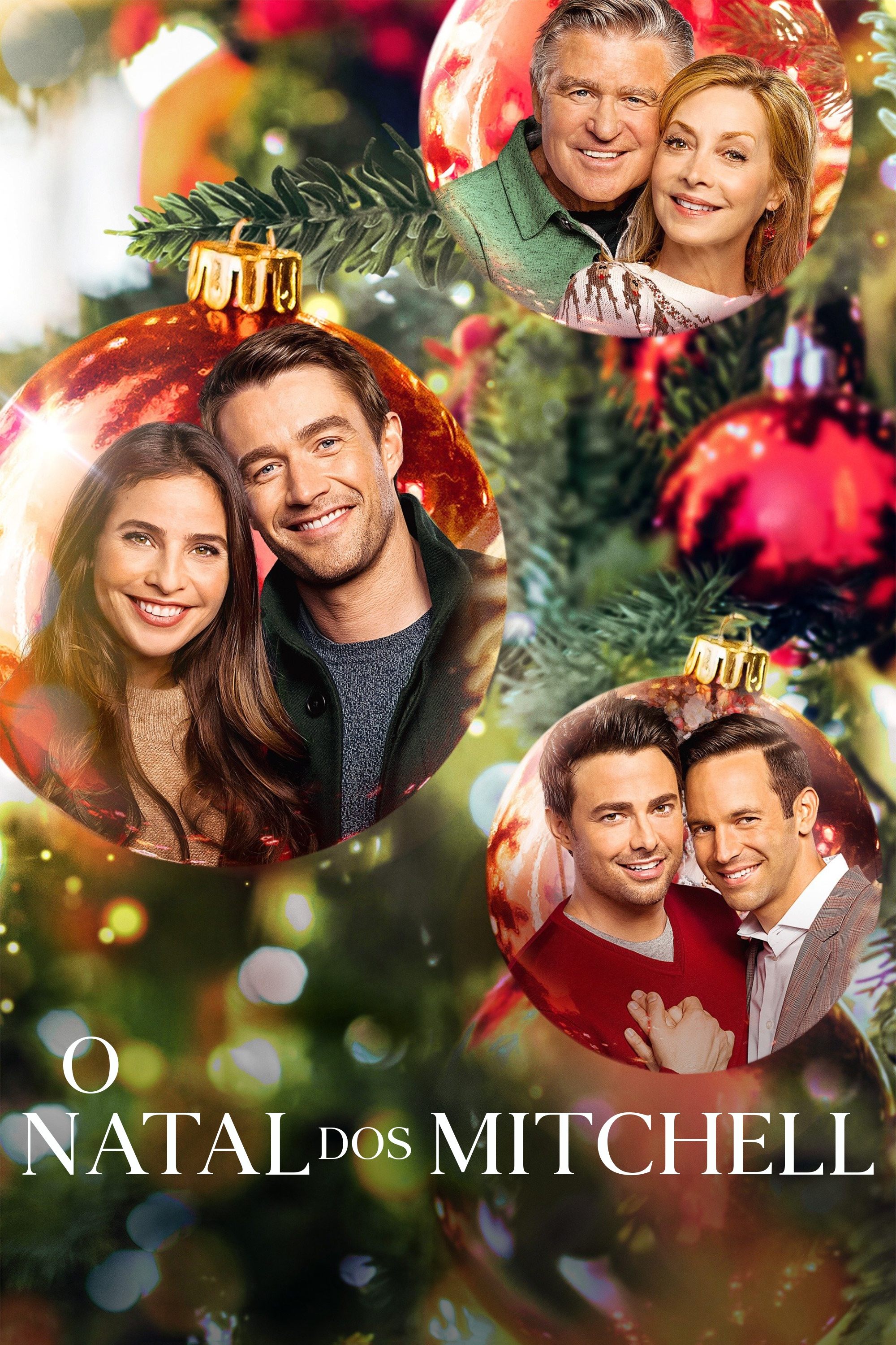 Poster de O Natal dos Mitchell