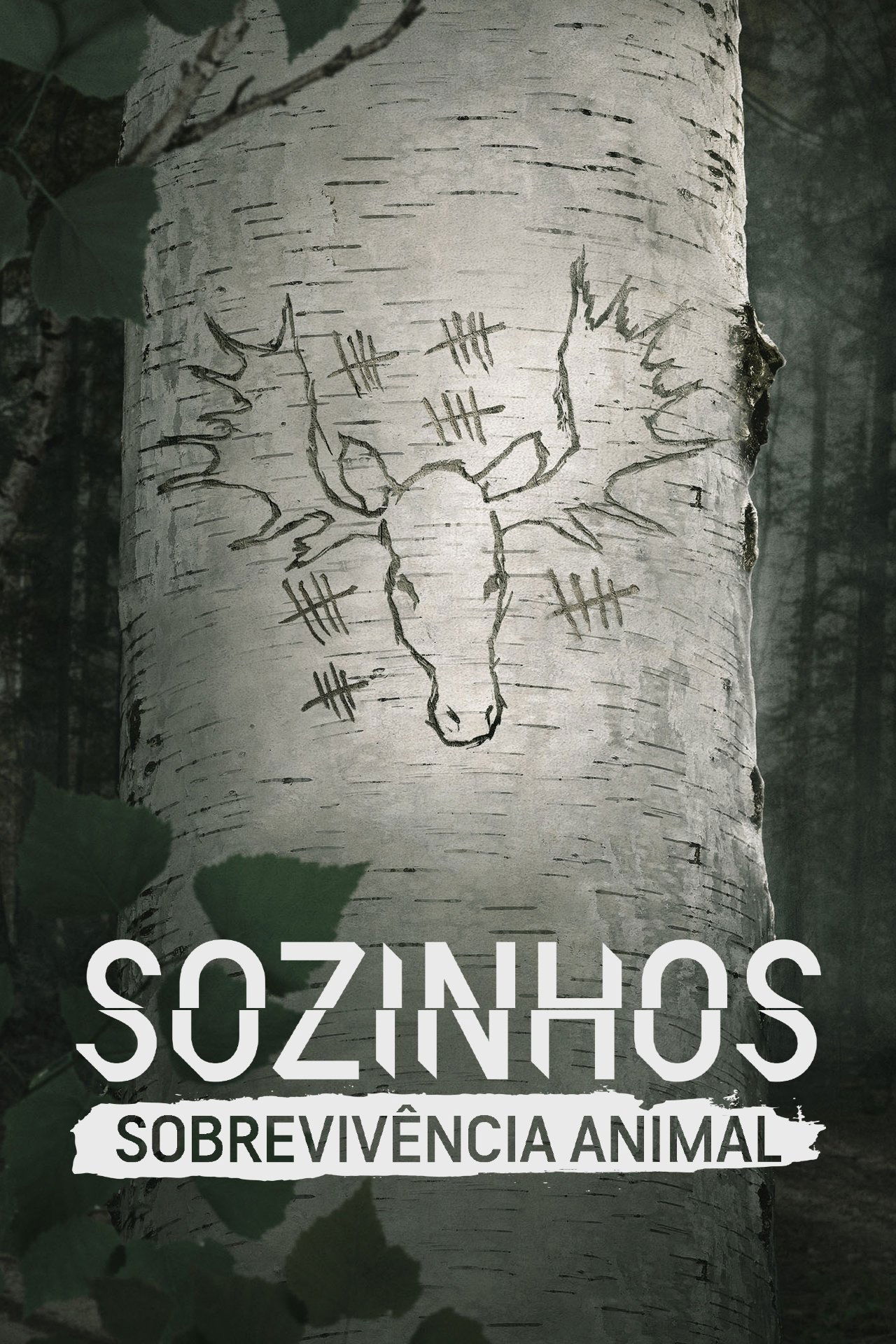 Poster de Sozinhos: Sobrevivência Animal